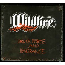 Brute Force And Ignorance