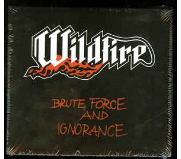 Brute Force And Ignorance