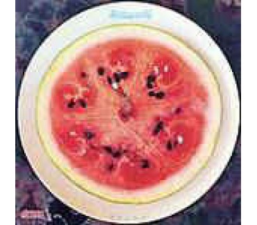 Melon