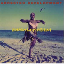 Zingalamaduni