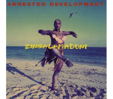 Zingalamaduni