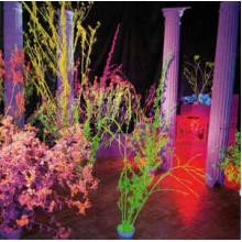 Warehouse: Songs And Stories