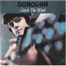 Catch The Wind