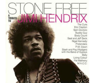 Stone Free (A Tribute To Jimi Hendrix)