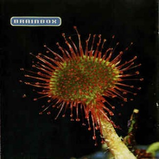 Primordia