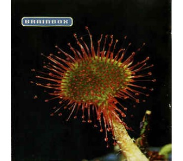 Primordia