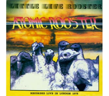 Little Live Rooster