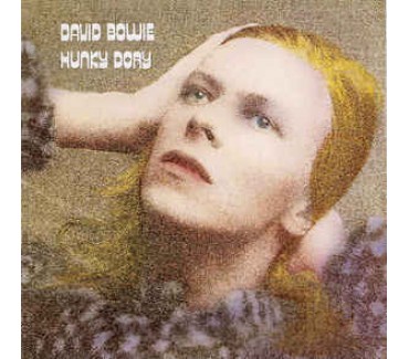 Hunky Dory