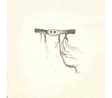 Scorpio Rising