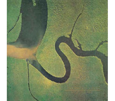 The Serpent's Egg