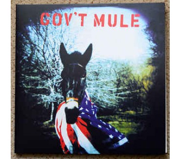 Gov't Mule