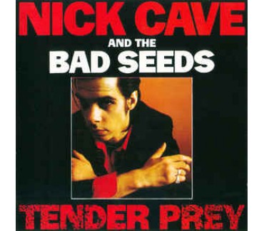 Tender Prey
