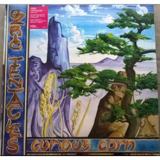 Curious Corn
