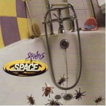 Spiders
