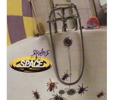 Spiders