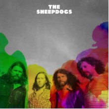 The Sheepdogs