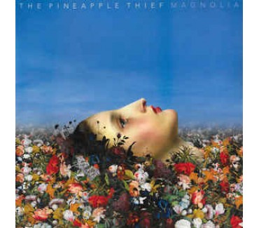 Magnolia