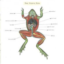 The Verve Pipe
