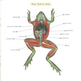 The Verve Pipe