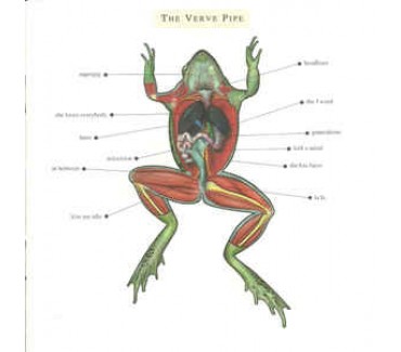 The Verve Pipe