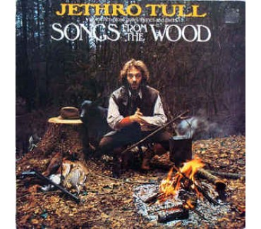 Songs From The Wood