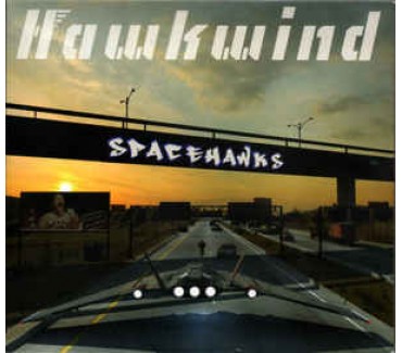 Spacehawks