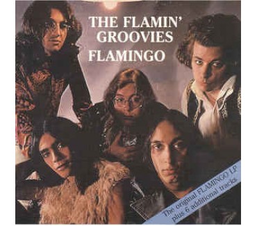 Flamingo