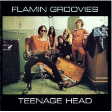 Teenage Head