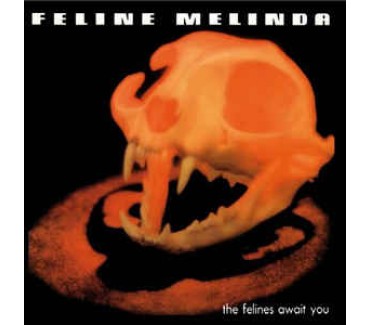 The Felines Await You