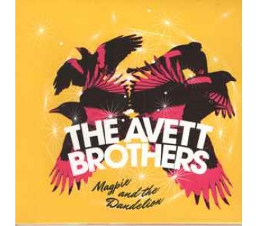 Magpie And The Dandelion