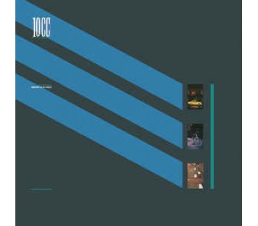 Windows In The Jungle