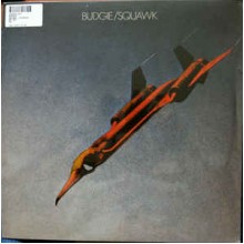 Squawk