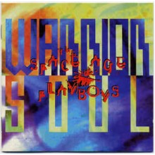 The Space Age Playboys
