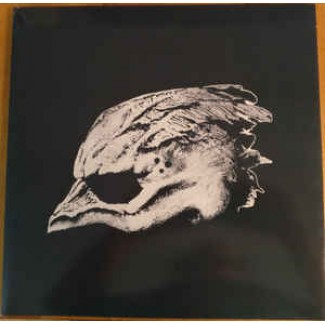 Legend Of The Seagullmen