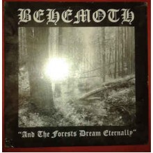 And The Forests Dream Eternally