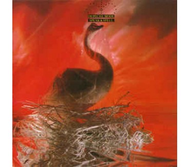 Speak & Spell