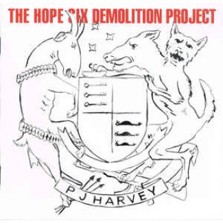 The Hope Six Demolition Project