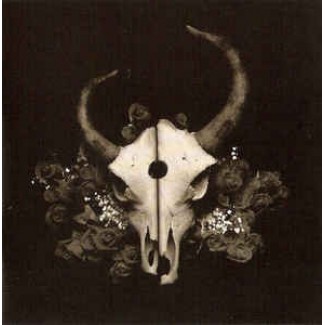 Summer Of Darkness