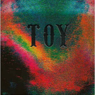 Toy