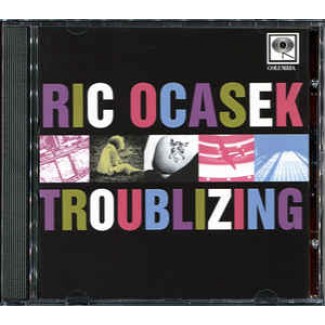 Troublizing