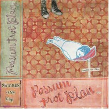 Possum Trot Plan