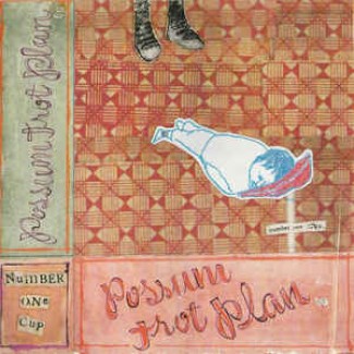 Possum Trot Plan
