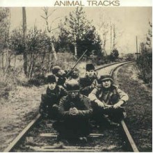 Animal Tracks