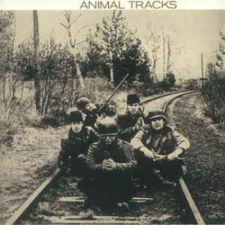 Animal Tracks