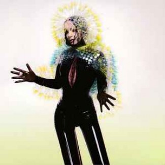 Vulnicura
