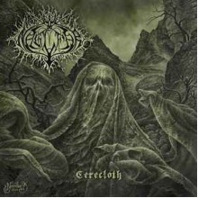 Cerecloth