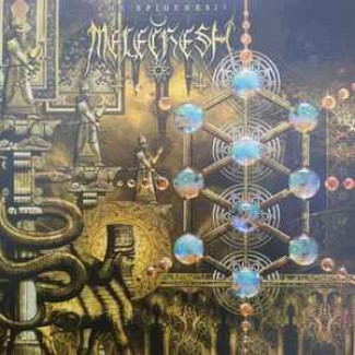 The Epigenesis