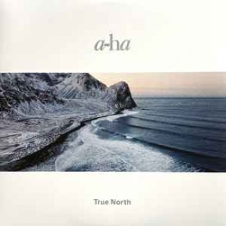 True North