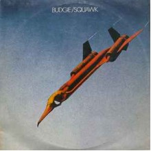 Squawk