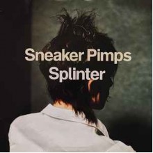 Splinter